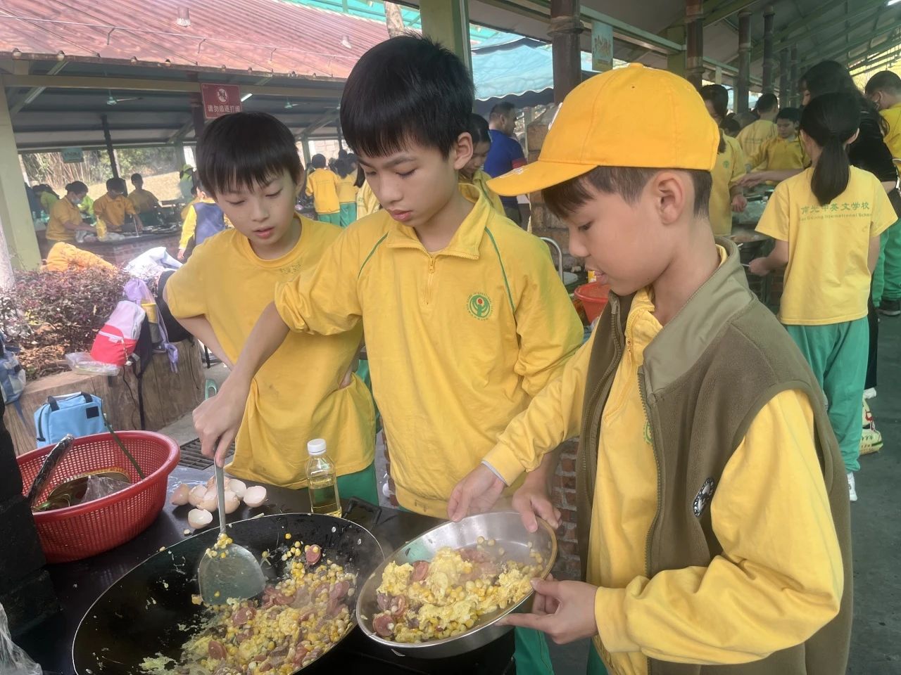 微信图片_20240506193026 微信图片_20240506193026