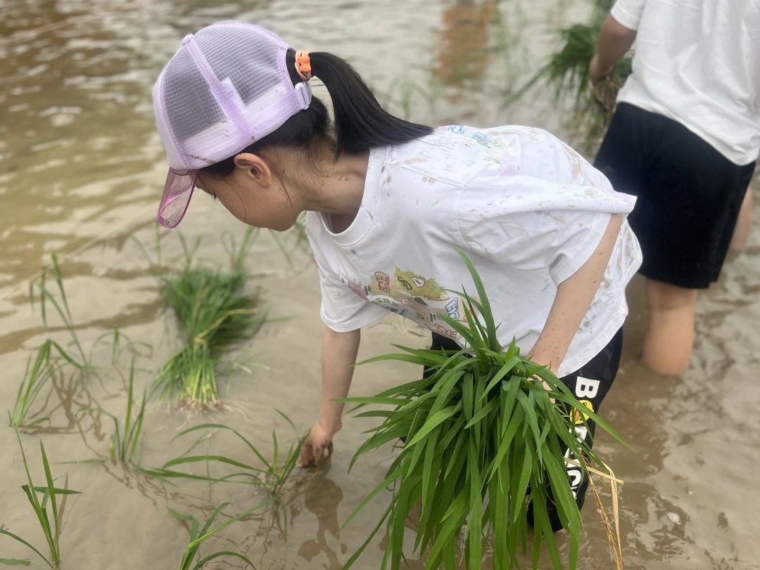 微信图片_20240506193059 微信图片_20240506193059