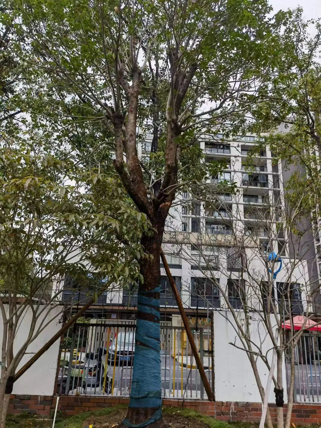 微信图片_20240416193743 微信图片_20240416193743