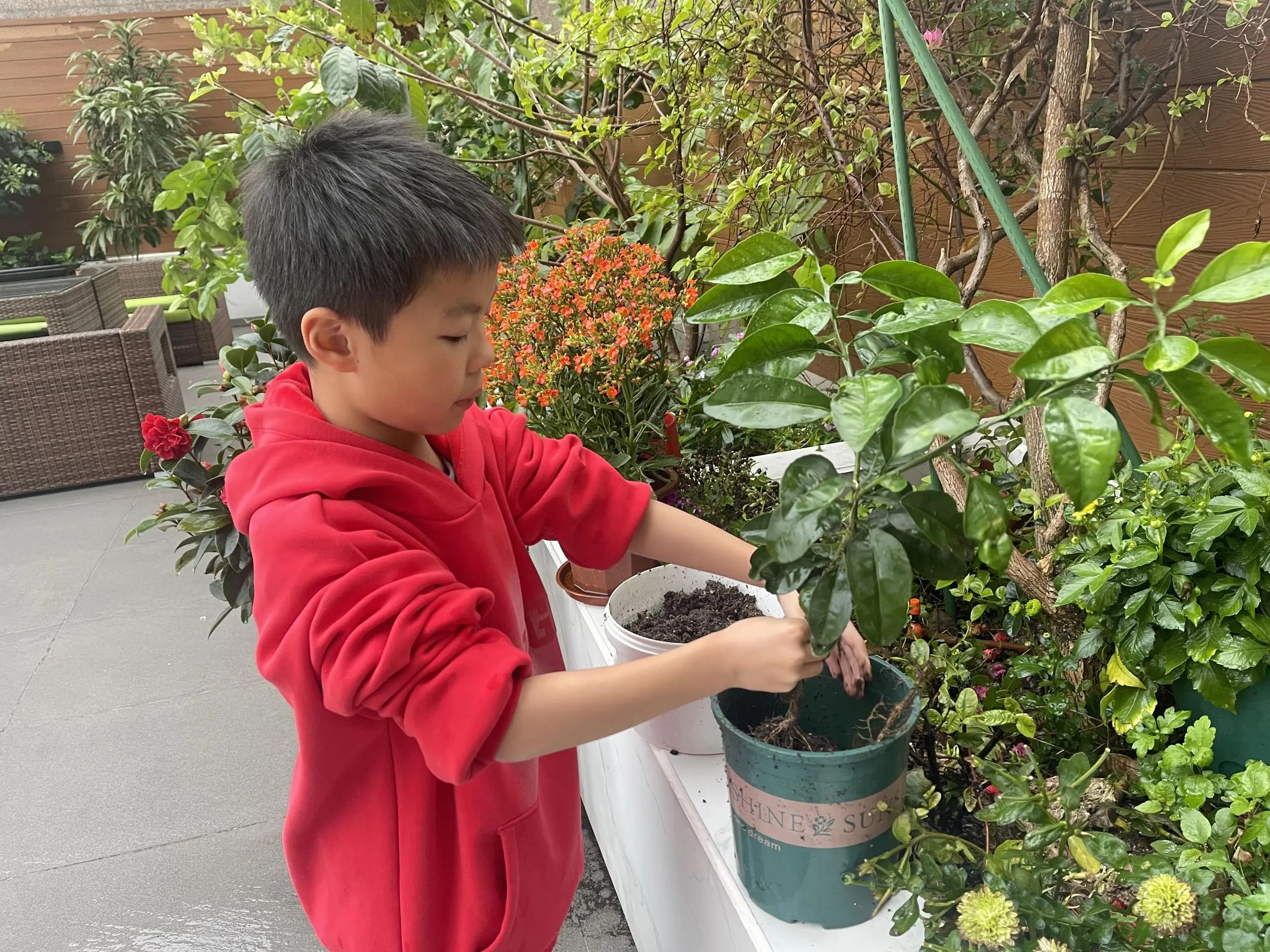 微信图片_20240416193041 微信图片_20240416193041