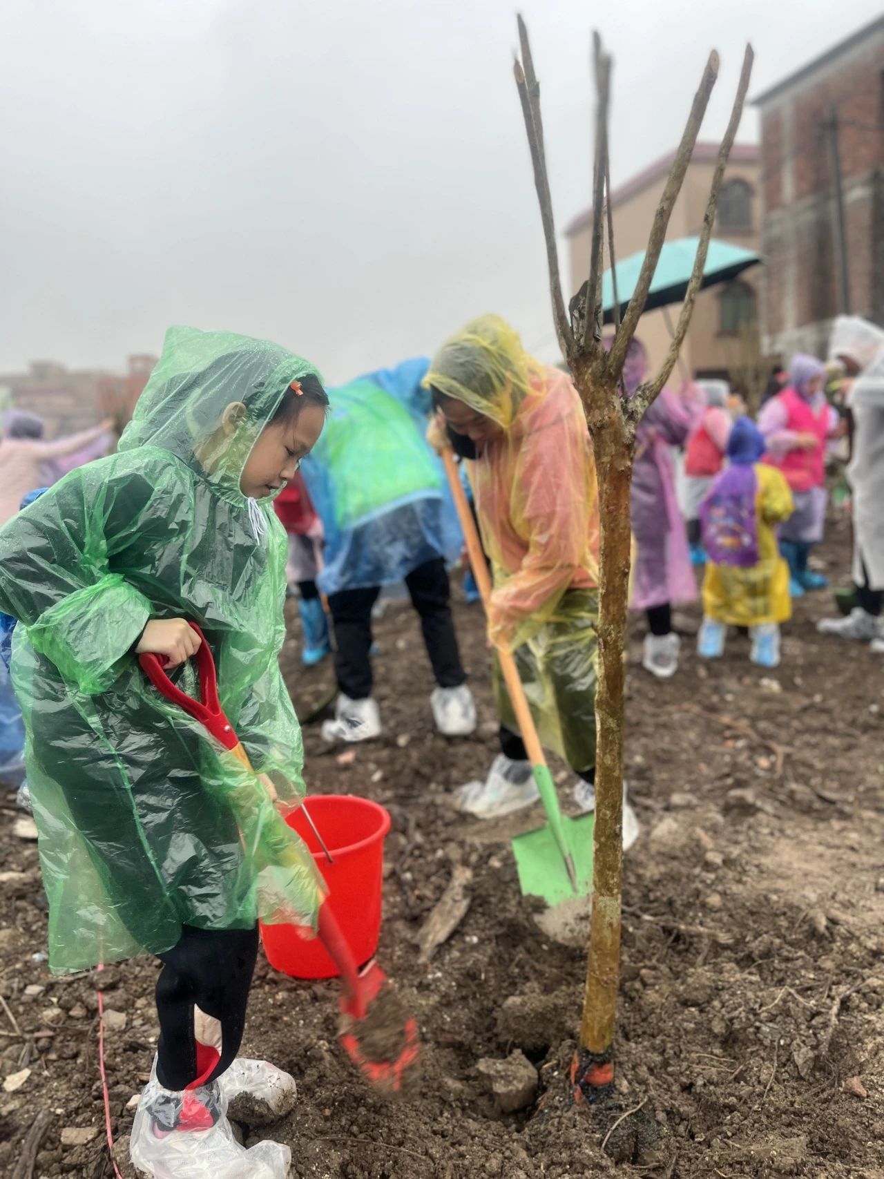 微信图片_20240416193120 微信图片_20240416193120