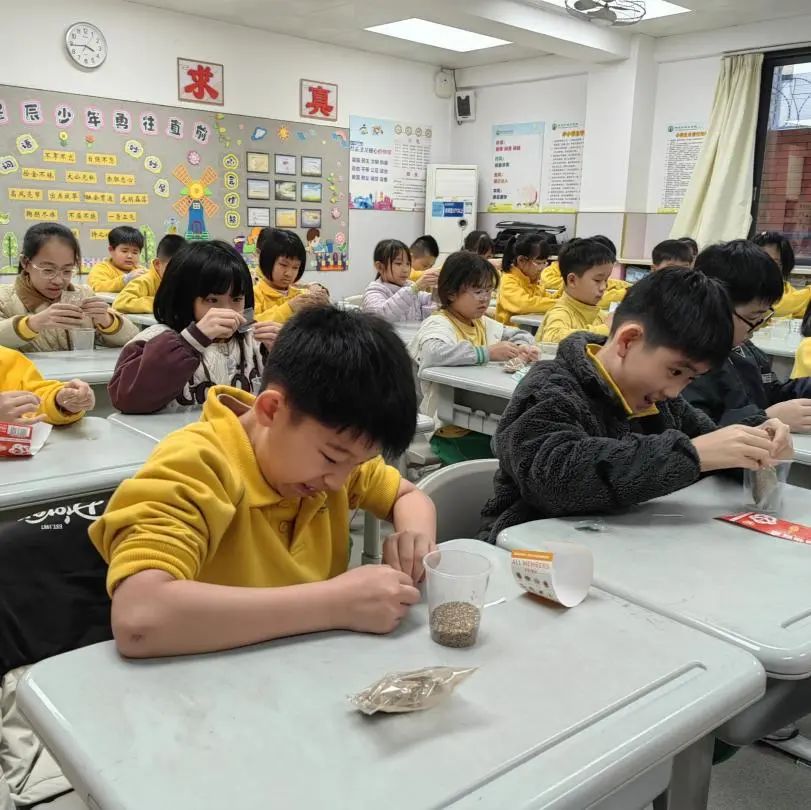 微信图片_20250320195124 微信图片_20250320195124