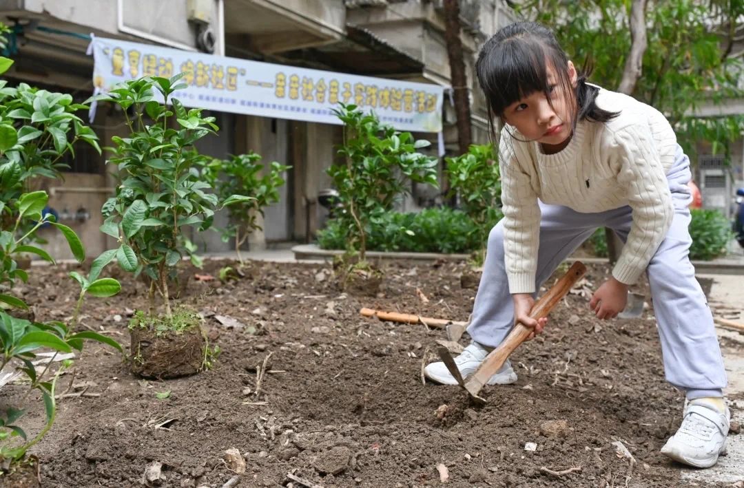 微信图片_20250320195156 微信图片_20250320195156