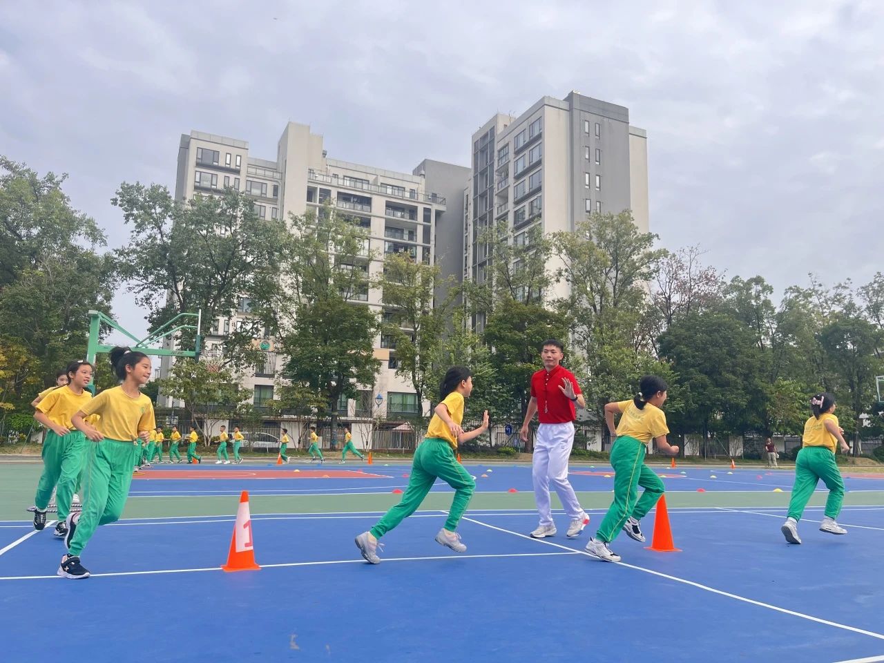 微信图片_20241114200151 微信图片_20241114200151