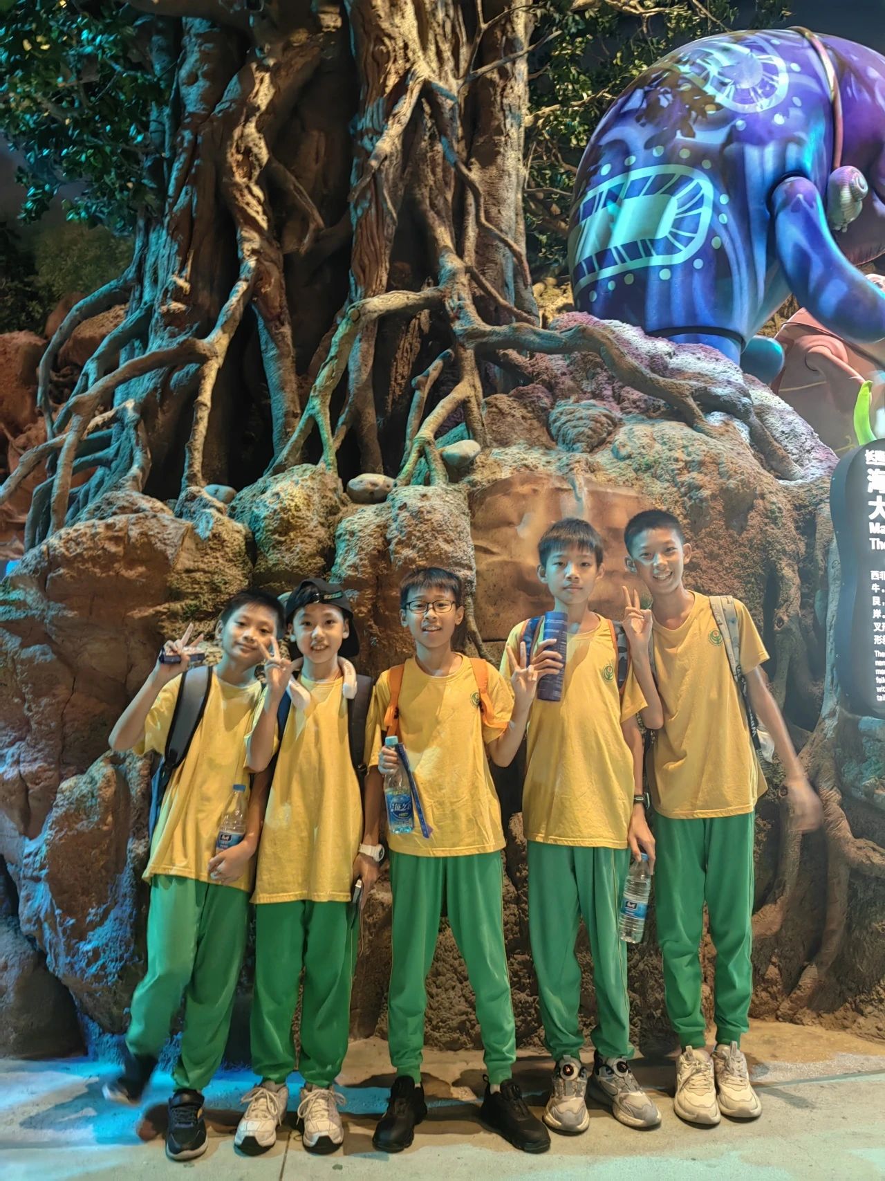 微信图片_20240605192905