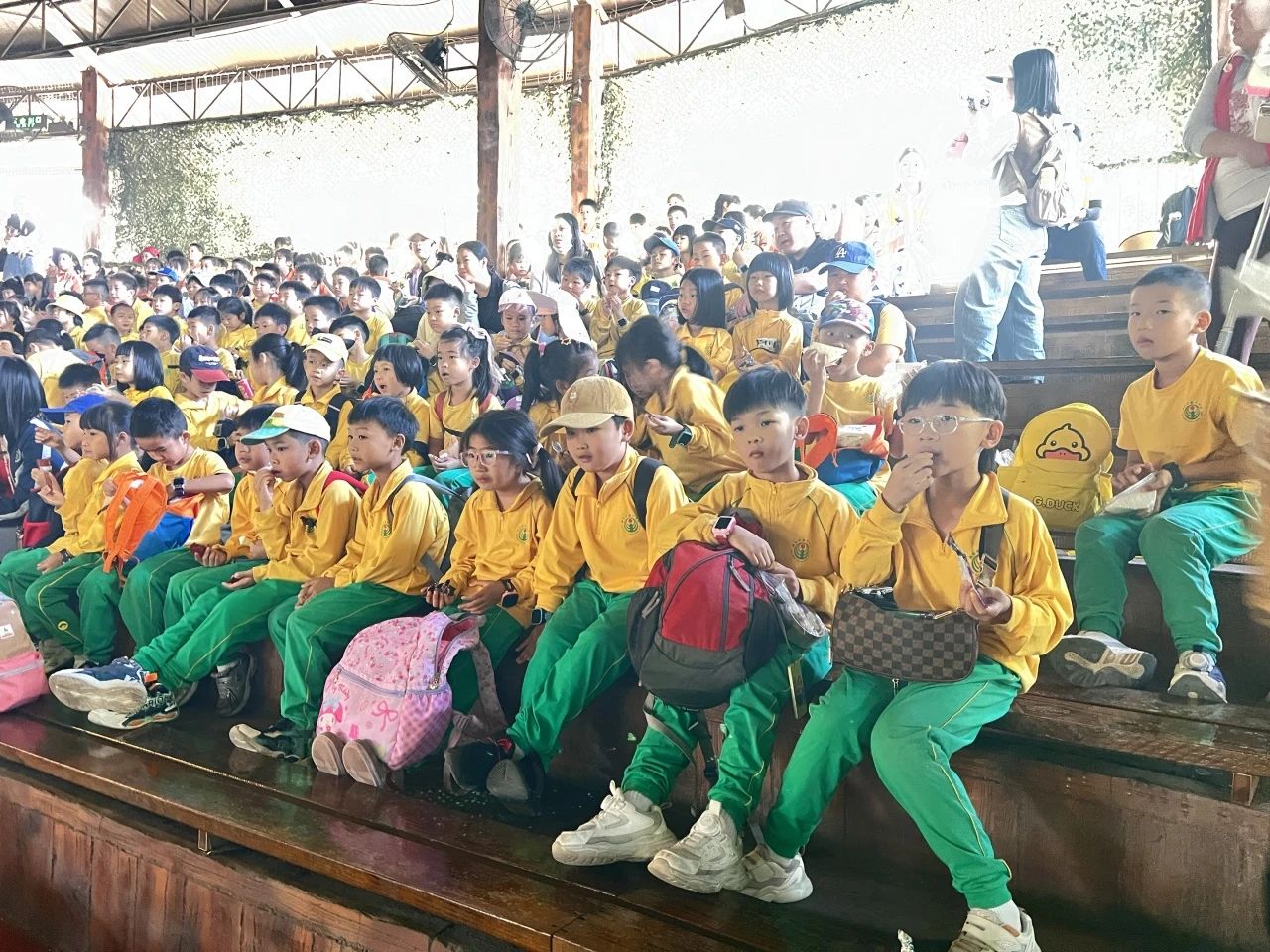 微信图片_20241114193933 微信图片_20241114193933