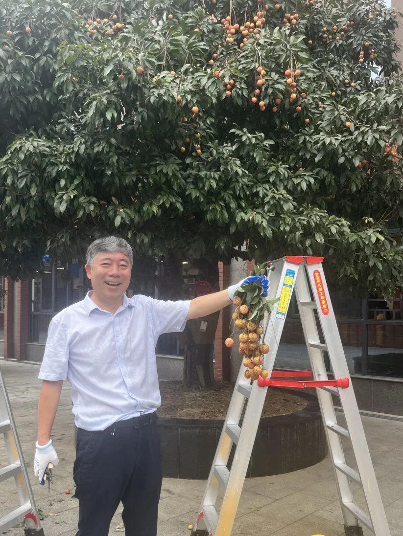 微信图片_20250624171010