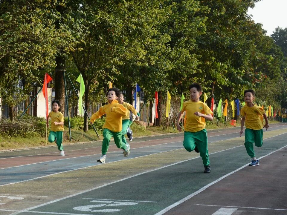 微信图片_2025-12-17_165639_065