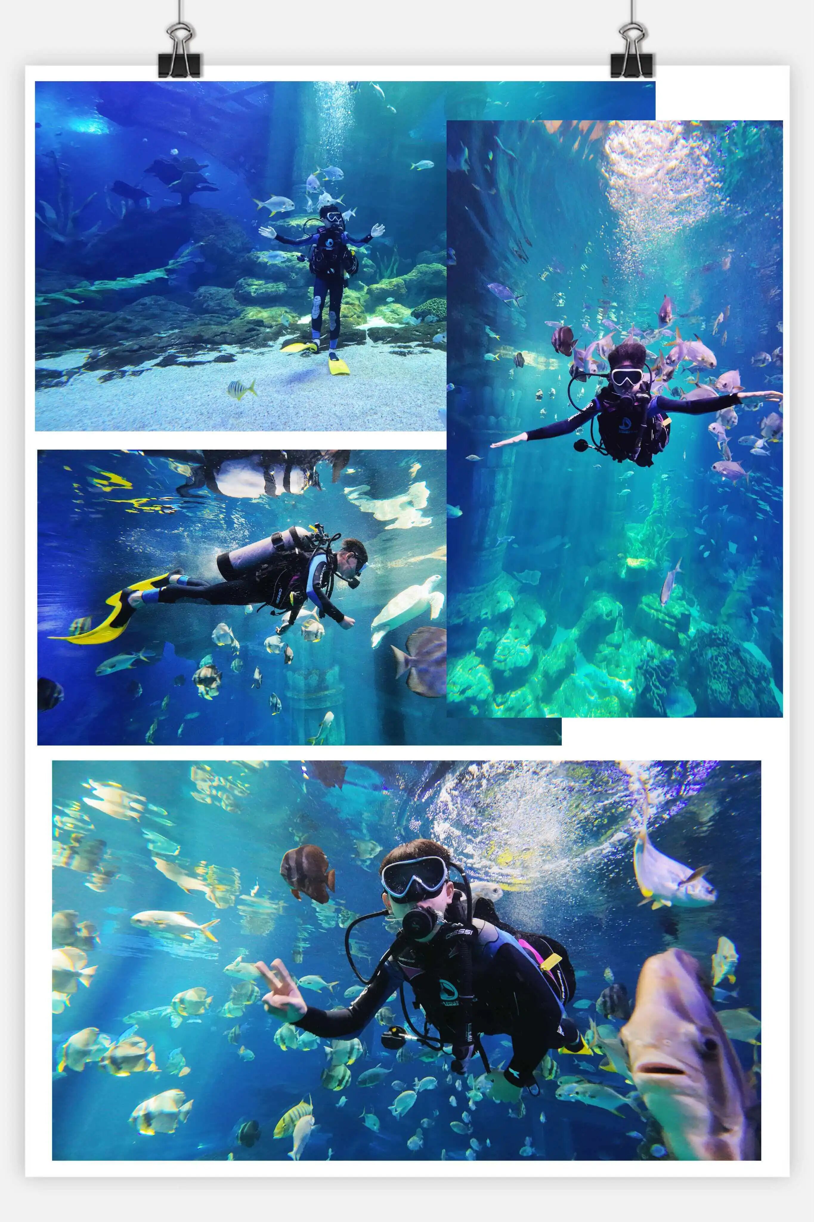 微信图片_2026-03-06_162607_074 微信图片_2026-03-06_162607_074