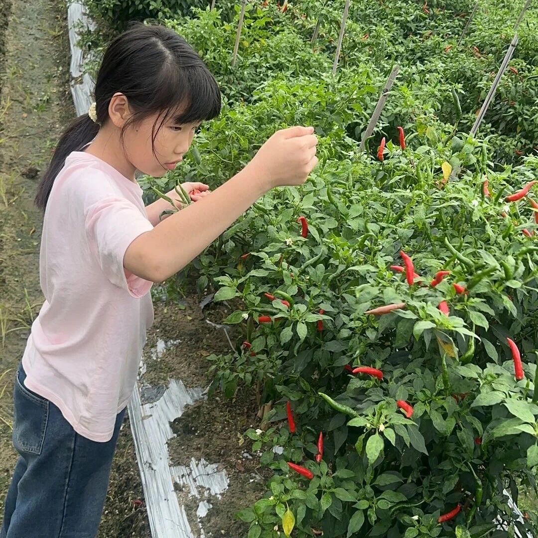 微信图片_2026-05-21_193710_765 微信图片_2026-05-21_193710_765